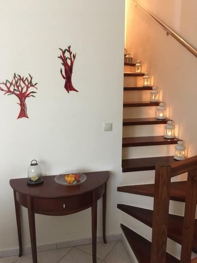 尼基季Dream House别墅 外观 照片